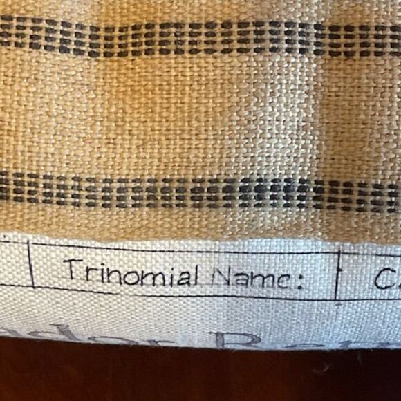 Decorative Splashworks Labrador Retriever Dog Breed Pillow - Picture 9 of 10